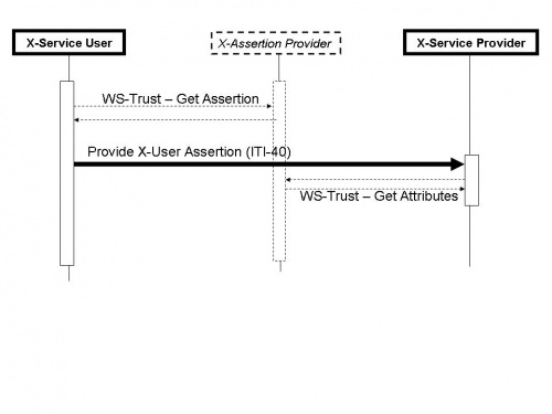 Figure 40.1-1 X-User Assertion Messages