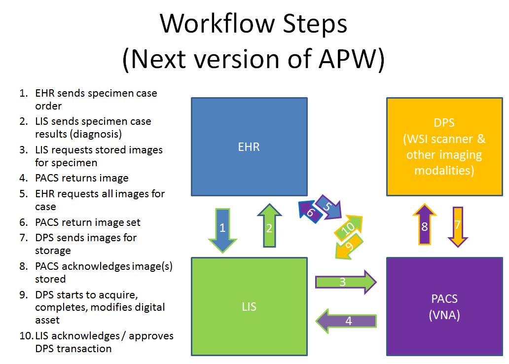 Workflow Steps IHE PalM.png