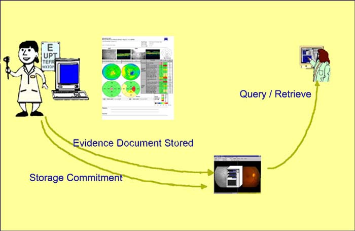 Diagram evidence doc edited-resized copy.jpg