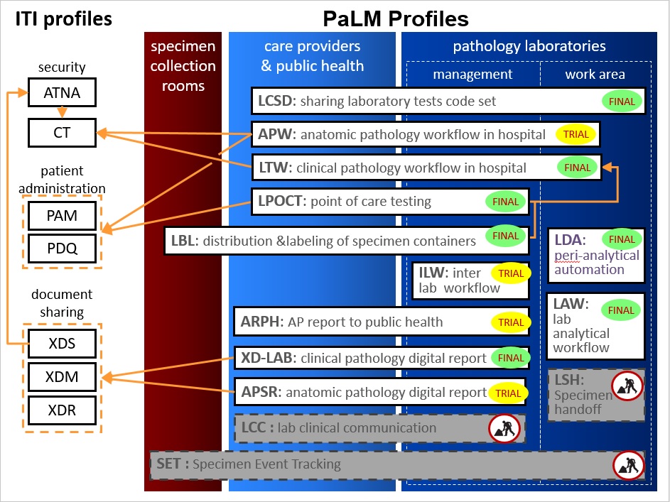 PaLM Synopsis.jpg