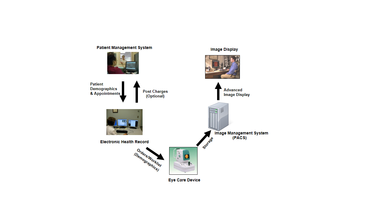 Thumbnail for version as of 13:28, 11 May 2016